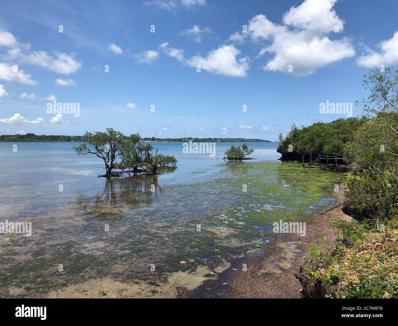 Tropische Landschaft von Wasini Island an der schönen Küste von Kenia, Afrika Stockfoto