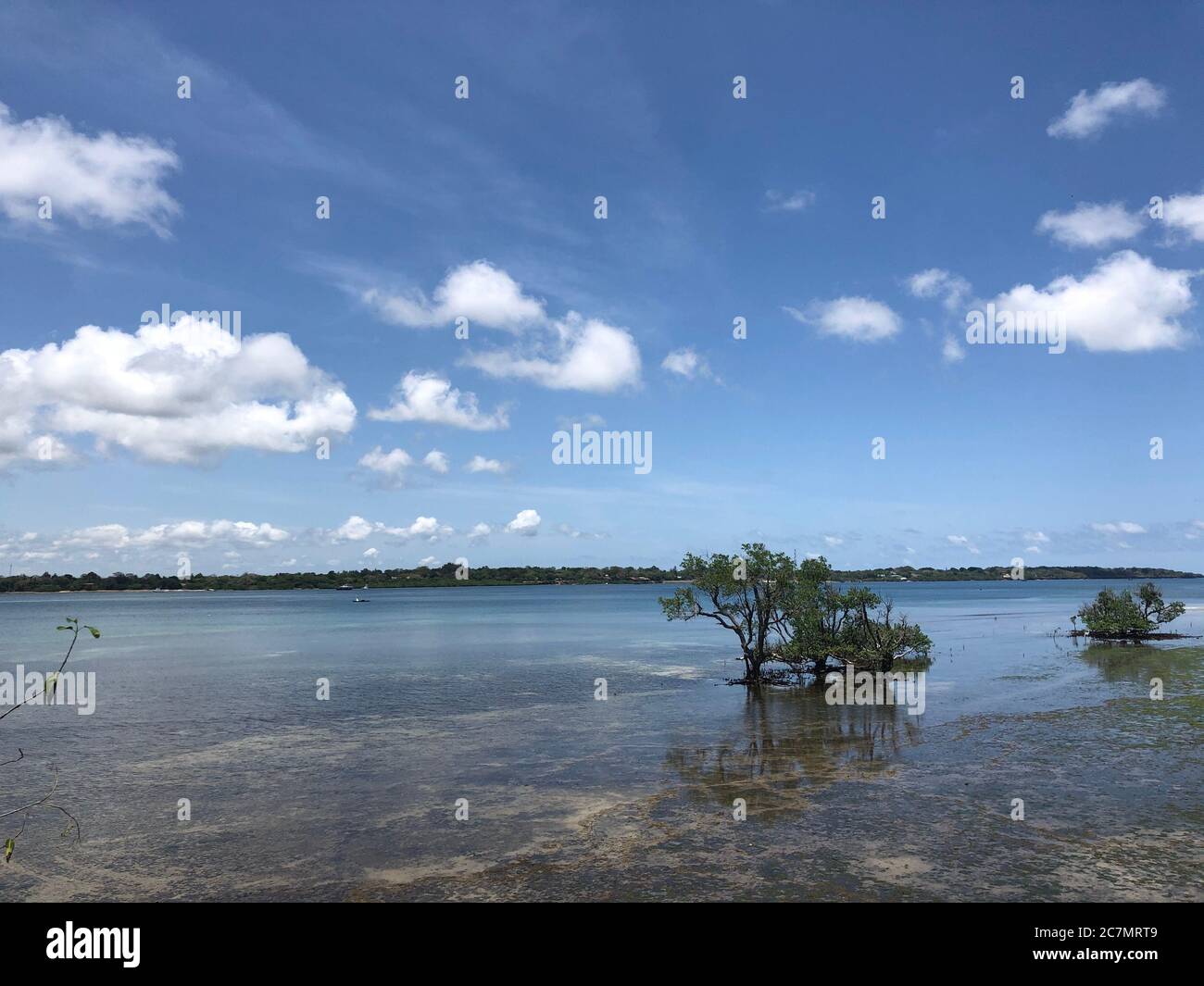 Tropische Landschaft von Wasini Island an der schönen Küste von Kenia, Afrika Stockfoto
