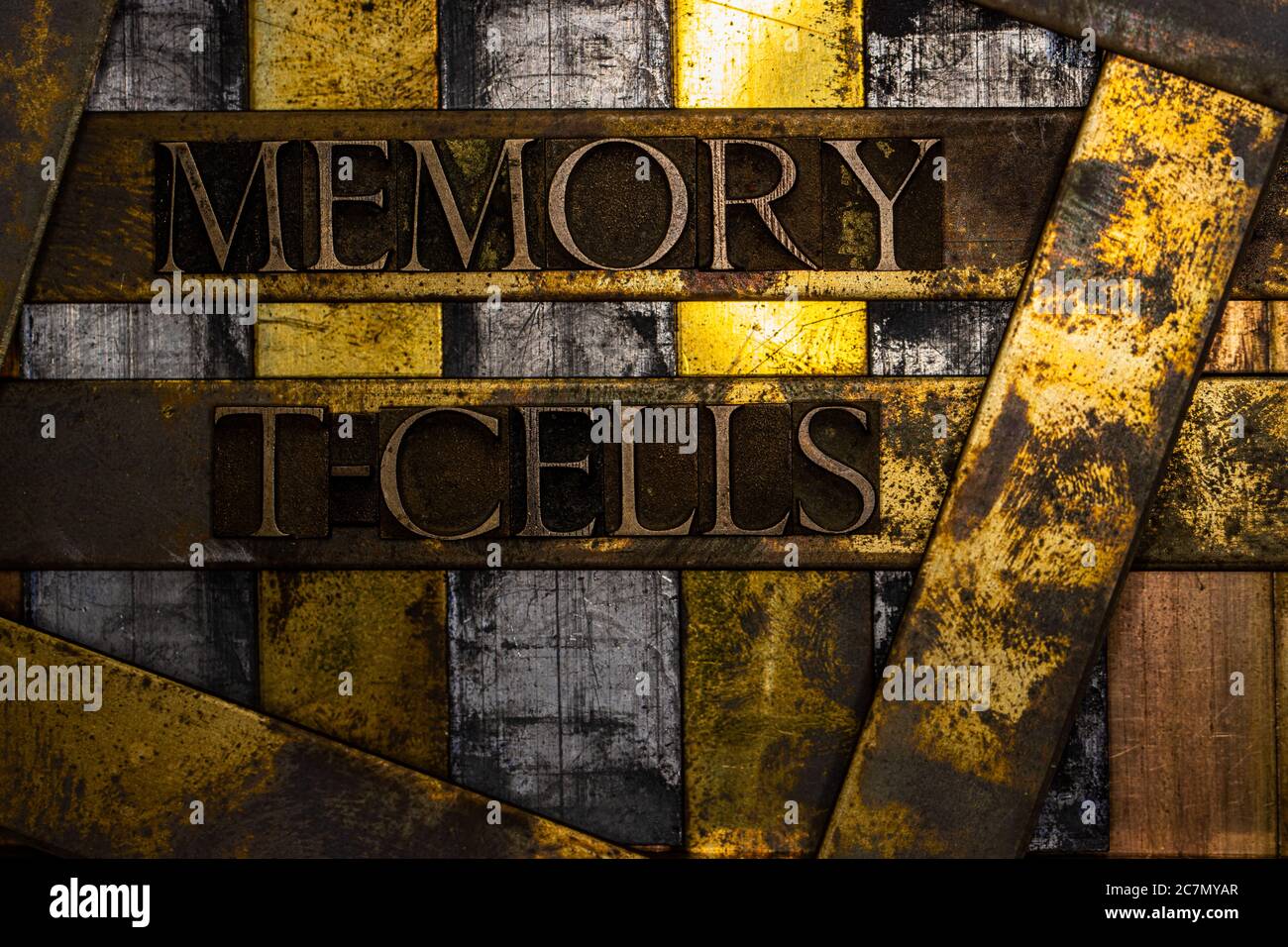 Memory T-Zellen Text mit echten authentischen Buchstaben auf vintage texturierten Silber Grunge Kupfer und Gold Hintergrund gebildet Stockfoto