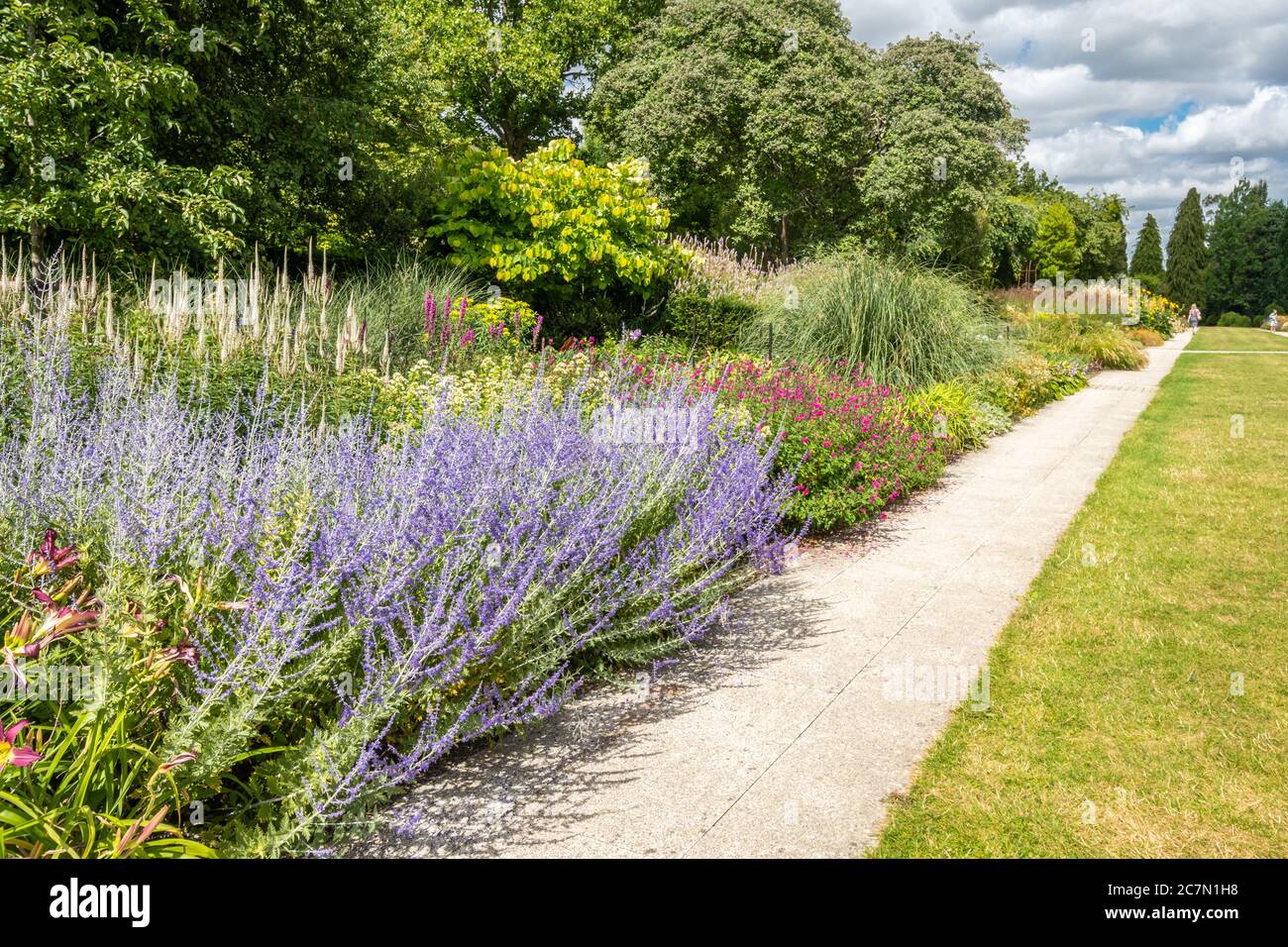 Die hundertjährige Grenze in Sir Harold Hiller Gardens, Hampshire, Großbritannien im Juli oder Sommer mit bunten Blumen Stockfoto