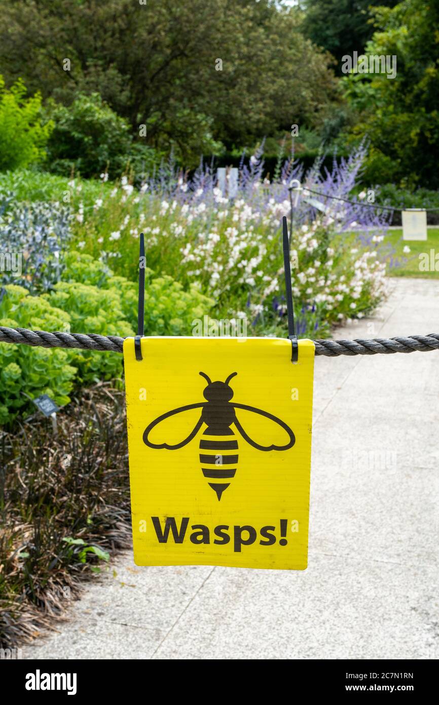Warnschild über Wespen mit abgesperrtem Bereich im Sir Harold Hillier Gardens, Großbritannien Stockfoto