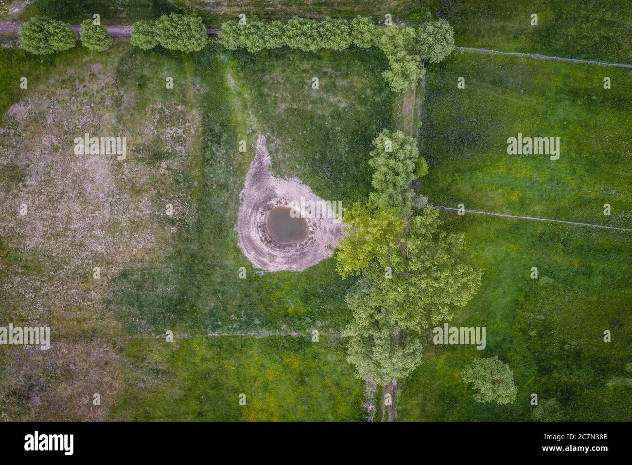 Kleiner Teich auf einer Wiese in WeGrow County, Masowien Woiwodschaft im östlichen Zentralpolen Stockfoto