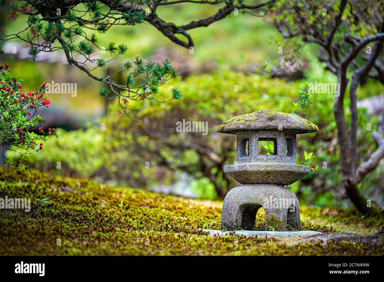 Kyoto, Japan grüner Frühlingsmoos Garten im Kaiserpalast mit kleinen Steinlaternen und Bonsai Bäumen aus schwarzen Kiefern und Blumen Stockfoto