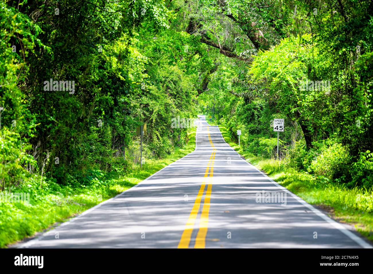 Tallahassee, Florida Leere Straße mit nicht passieren Zeichen auf Miccosukee szenische Canopy Straße mit niemand während des Tages mit südlichen lebenden Eichen Stockfoto