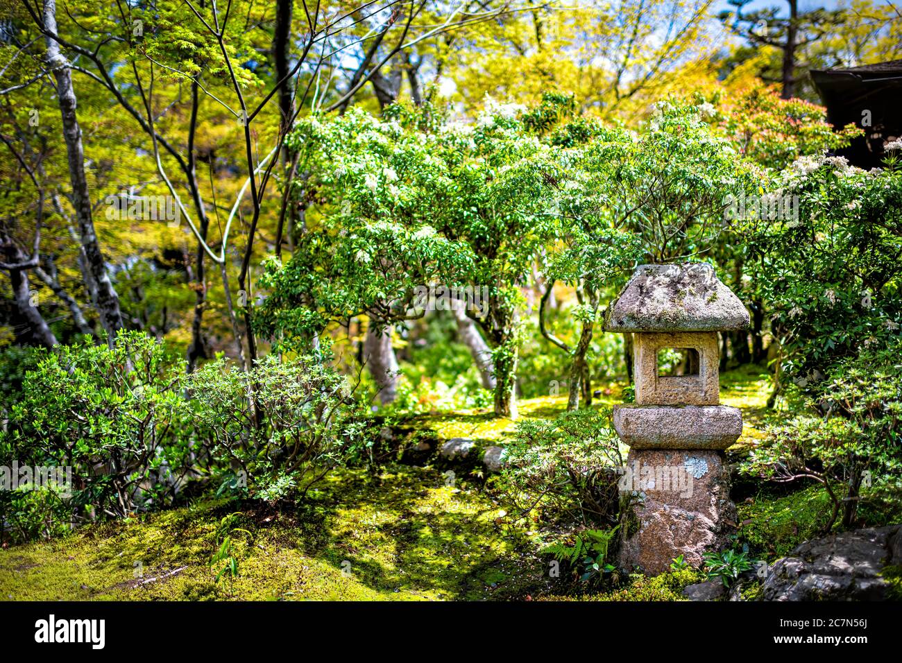 Nara, Japan Yoshikien Garten mit traditionellen japanischen grünen Moos  Landschaft und kleine Stein Laterne Lampe mit Sonnenlicht im Frühjahr  Stockfotografie - Alamy