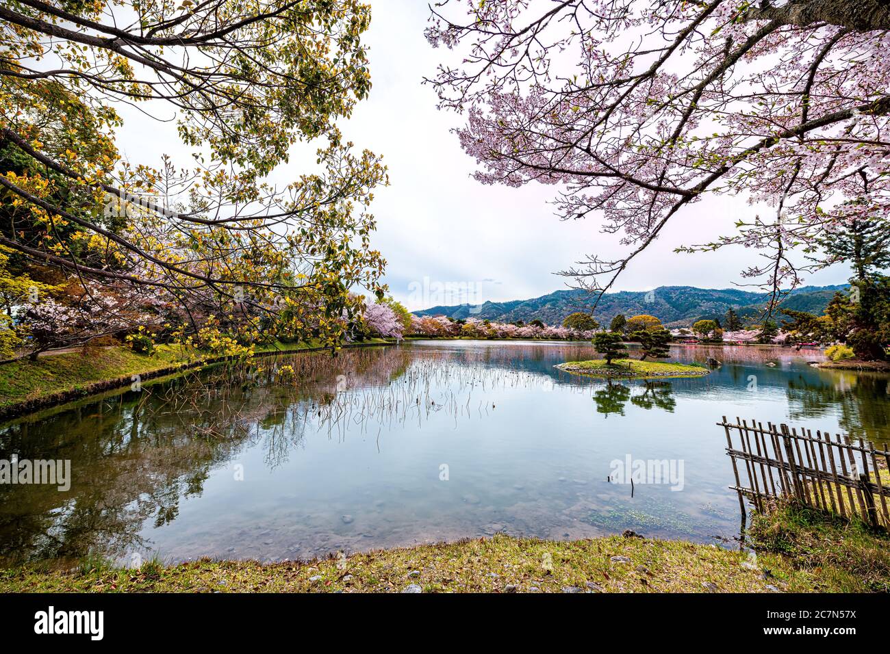 Kyoto, Japan Kirschblüten-Sakura blüht Bäume entlang Osawa-no-Ike Teich See im Frühling im Arashiyama Daikakuji Tempel mit roten traditionellen Drachenboa Stockfoto