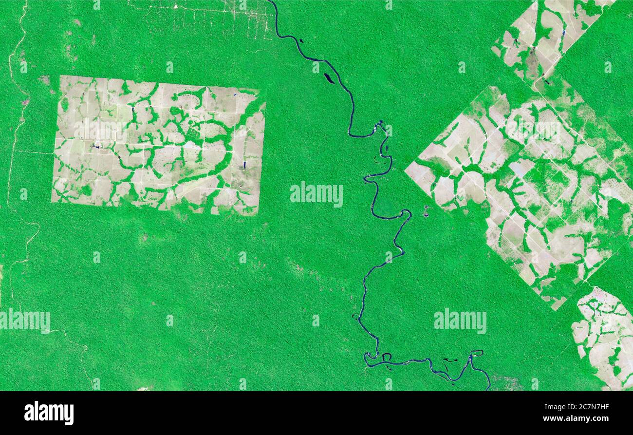 Satellitenbilder des Lakandon-Dschungels Brasiliens im Jahr 2020 werden Feldfrüchte, Flüsse und Dschungel beobachtet. Generierte und modifizierte Bilder des Sentinel-Sensors. Stockfoto