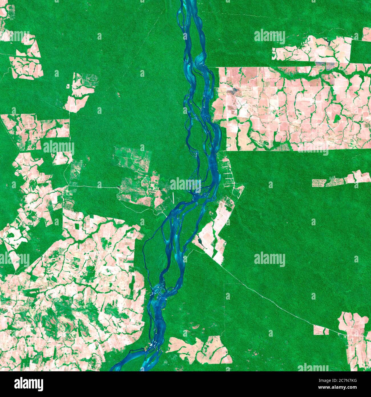 Satellitenbilder des Lakandon-Dschungels Brasiliens im Jahr 2020 werden Feldfrüchte, Flüsse und Dschungel beobachtet. Generierte und modifizierte Bilder des Sentinel-Sensors. Stockfoto