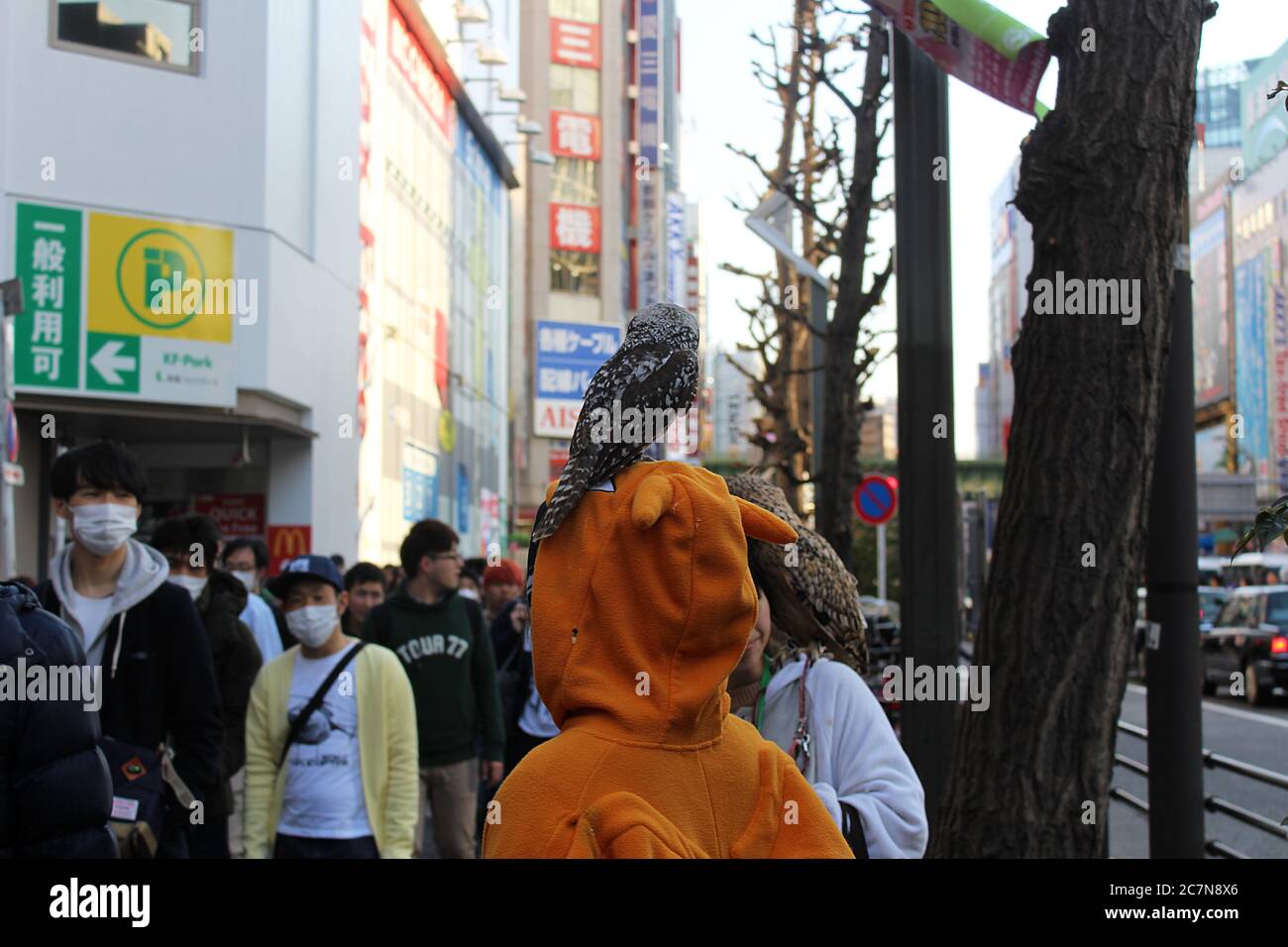 Akihabara, Tokyo, Japan - 17. März 2018: Person in orangefarbenem Kostüm mit Eule auf dem Kopf in überfüllten Straßen von Electric Town Förderung eines Eule Café. Stockfoto