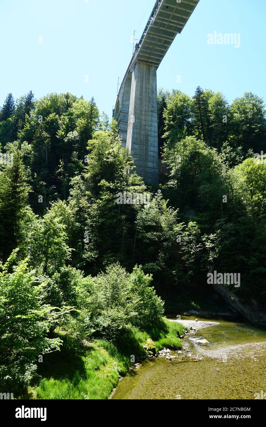 Brücke Sitterviadukt in Vorderansicht aus Sicht nach oben aus dem Tal. Die Brücke ist Teil des Wanderweges St. Galler Bridge in der Schweiz. Stockfoto