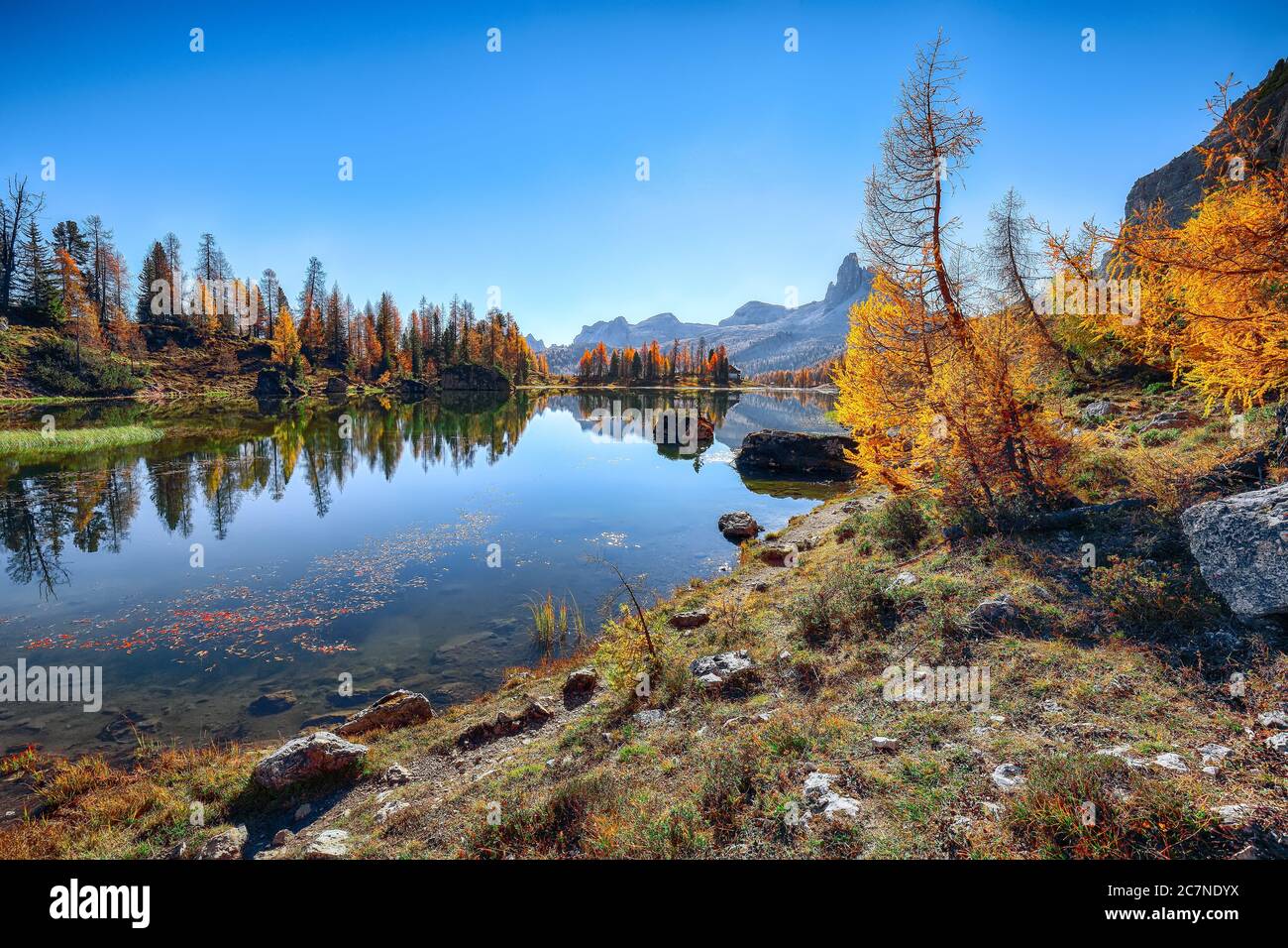 Wundervoller Herbstblick mit farbigem Himmel, majestätischem Felsberg und bunten Bäumen glühendes Sonnenlicht des Federasees in den Dolomiten. Lage: Federa See Stockfoto