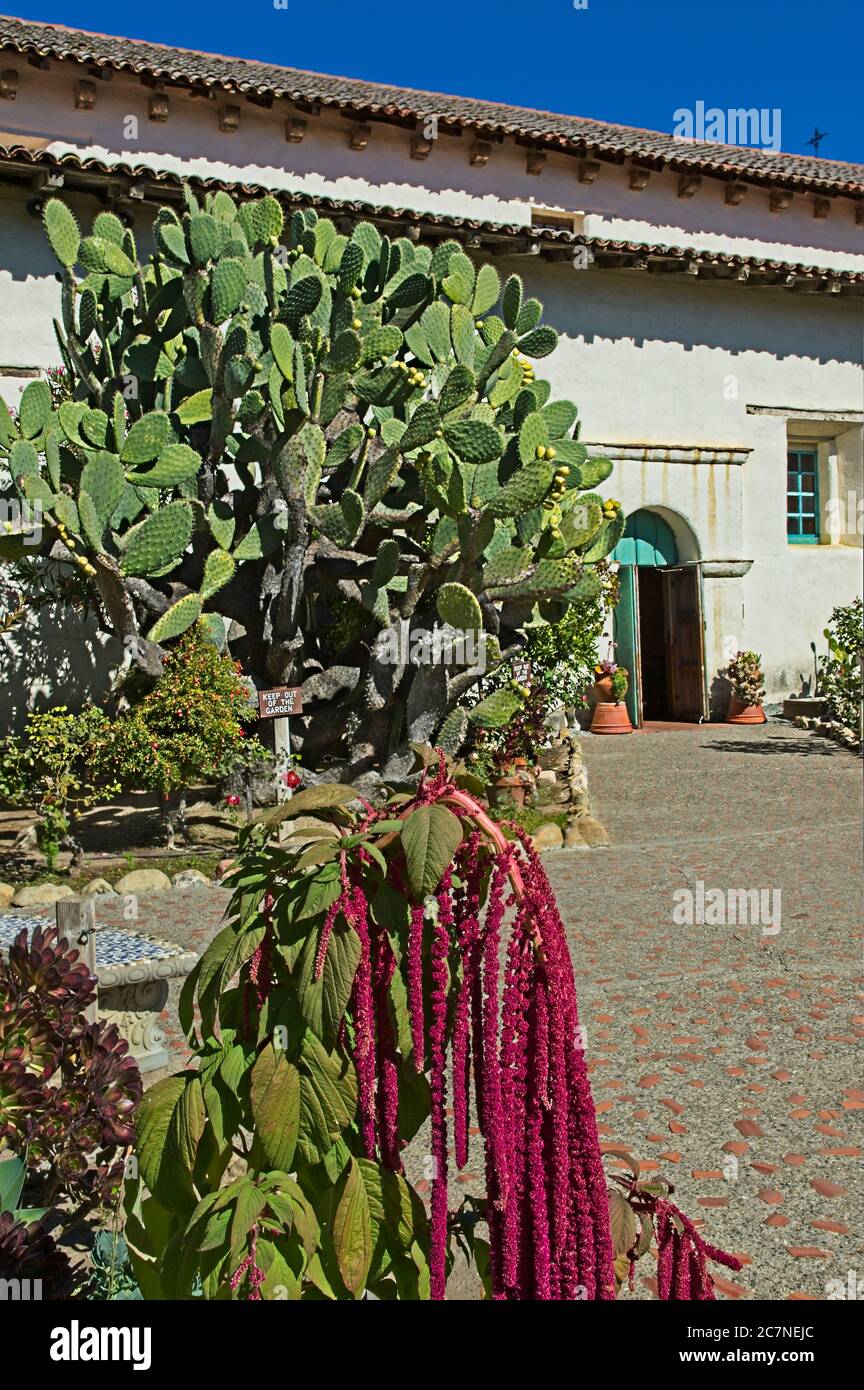 Mission San Juan Bautista, eine spanische Mission, gegründet 1797 von Fermín Lasuén des Franziskanerordens. Die Mission hat ein Museum und Gärten. Stockfoto