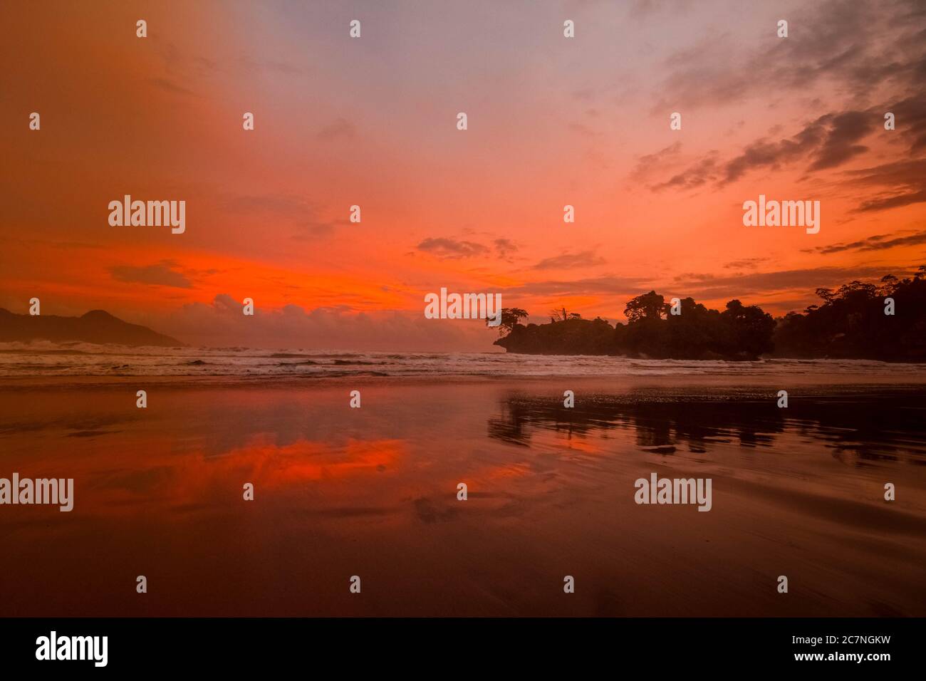 Die Schönheit des Pelang Strandes mit seinen einzigartigen Korallensteinen und Kokospalmen entlang der Küste in Trengalek, Ost-Java, Indonesien Stockfoto