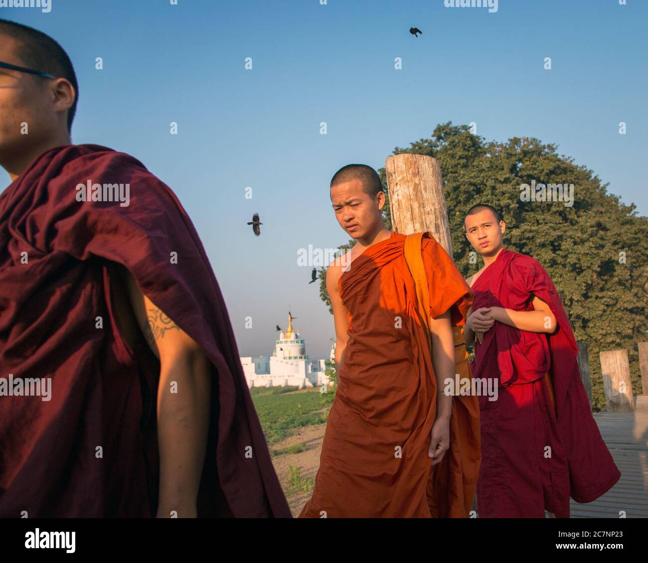 Drei junge Mönche gehen auf der U Bein Brücke in Mandalay, Myanmar Stockfoto