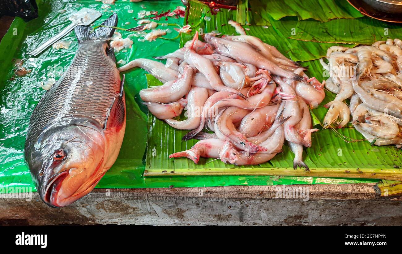 Lokaler Fischmarkt mit Süßwasser und Meeresfischen Verkauf bei Kolkata Stockfoto