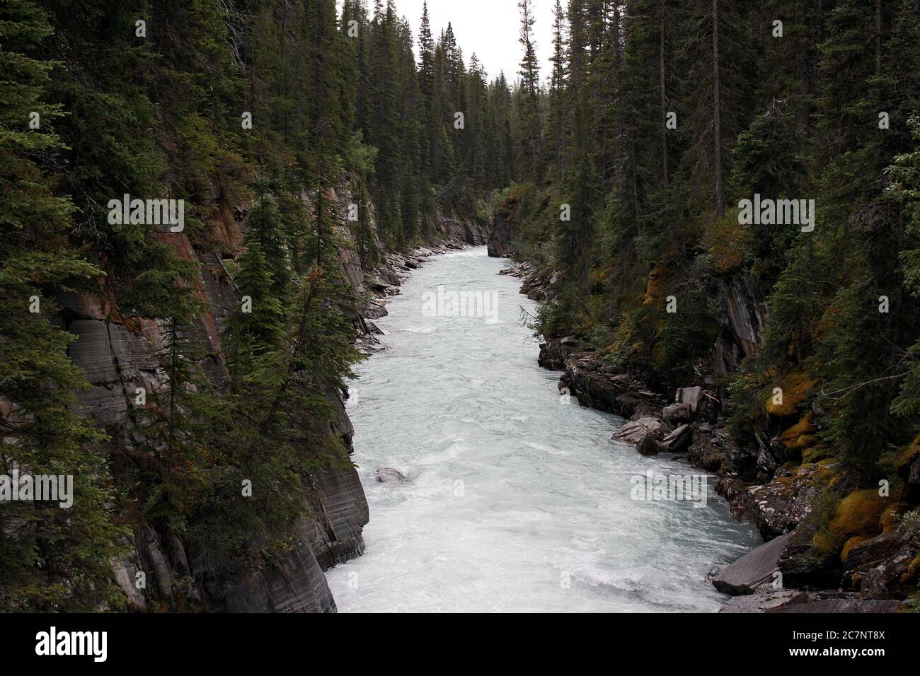 Estampas de Canadá Stockfoto