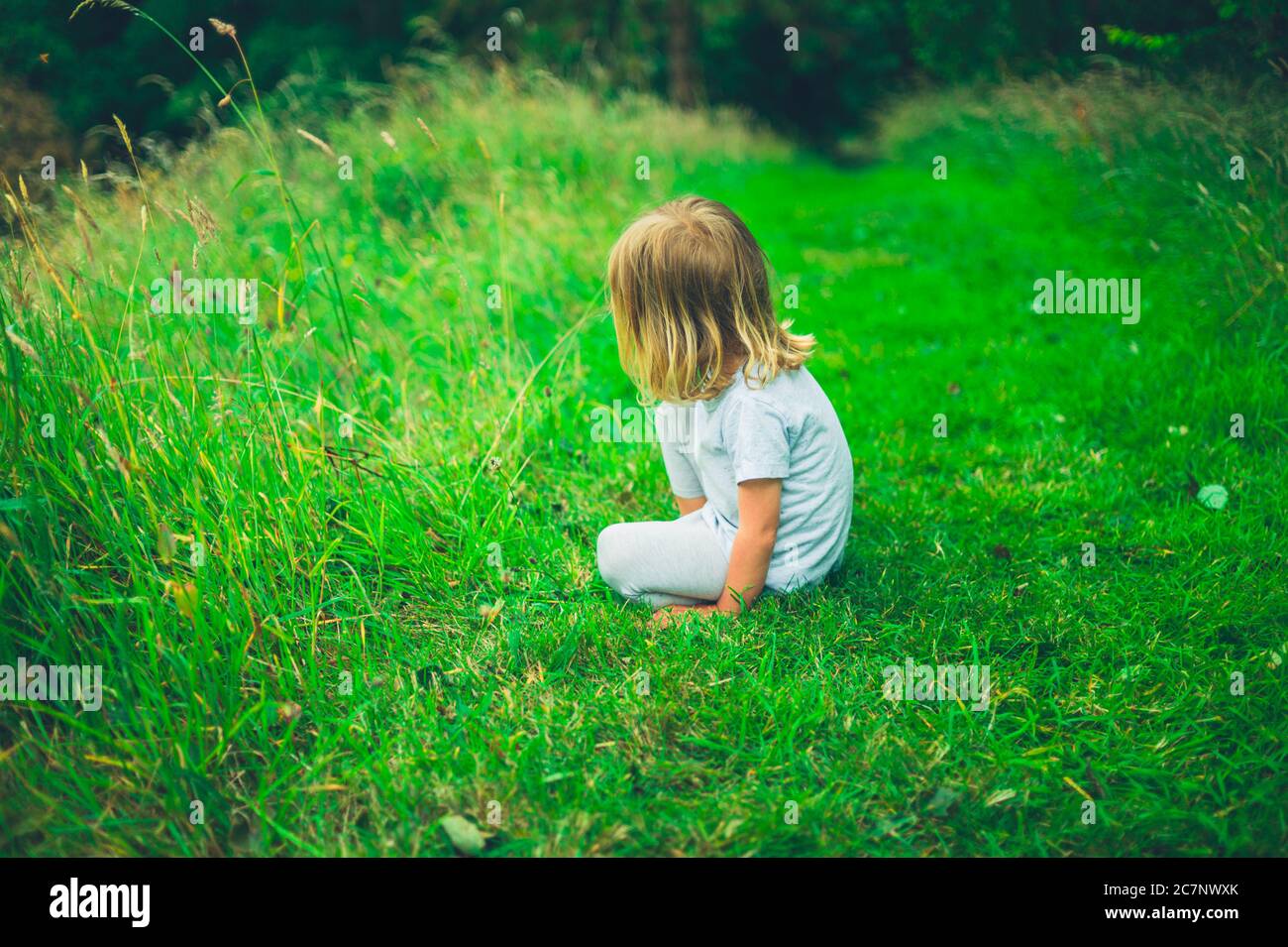 Ein kleiner Vorschuljunge spielt auf dem Gras Stockfoto