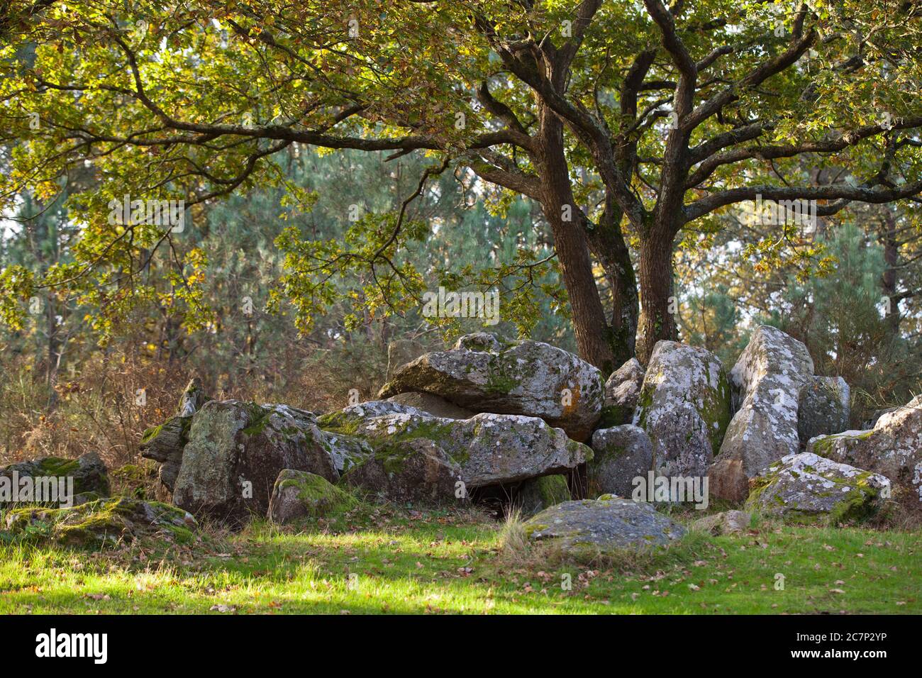 Dolmen in der bretagne Fotos und Bildmaterial in hoher Auflösung Alamy