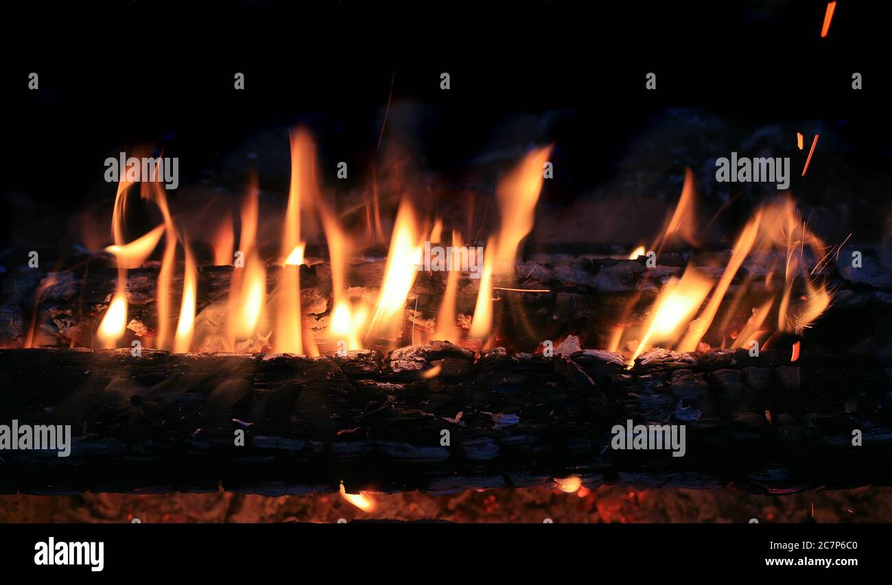 Brennholz Birke hell brennen im Feuer Stockfoto