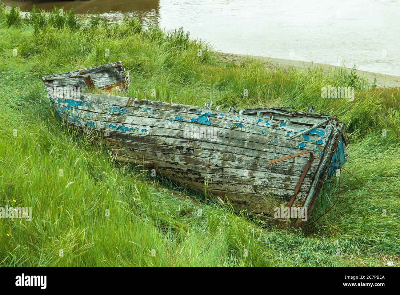 Altes Wrackboot auf dem Rasen neben dem Fluss Great Ouse in Kings Lynn, Norfolk, Großbritannien. Stockfoto