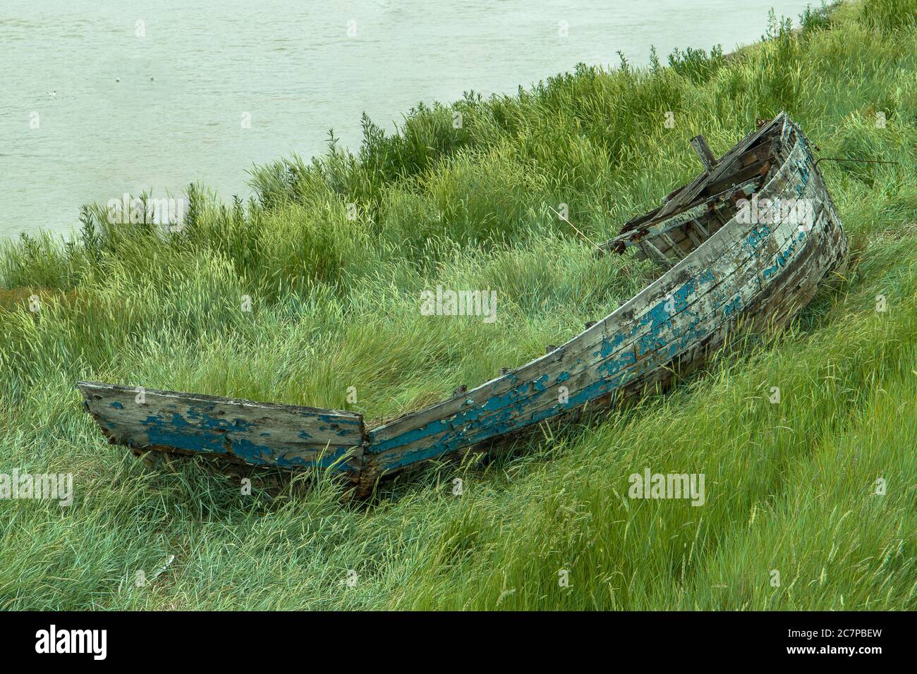 Altes Wrackboot auf dem Rasen neben dem Fluss Great Ouse in Kings Lynn, Norfolk, Großbritannien. Stockfoto