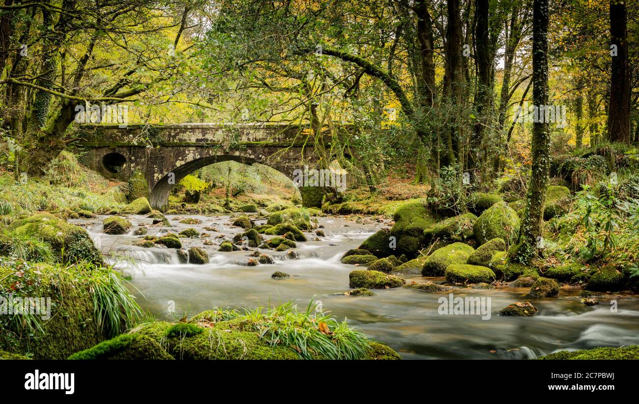 Ward Bridge über den Fluss Walkham Stockfoto