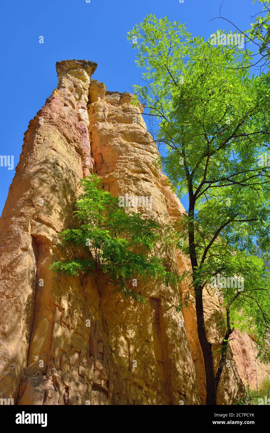 Rote Felsen im provenzalischen Colorado Park. Beliebte Trekking-Route, einst ockerfarbene Steinbrüche und jetzt eine seltsame Landschaft von fantastischen Formen und lebendigen Farben Stockfoto