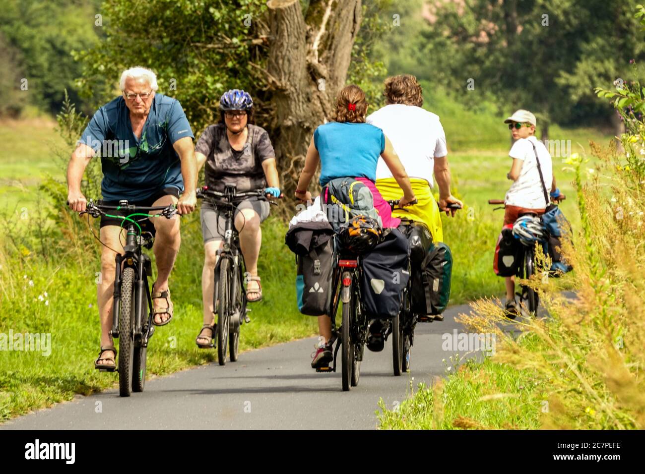 Radfahrer auf dem Elberadweg, einem Radweg, der durch ein Tal entlang der Elbe führt, genießen die Menschen Radfahren Sachsen Deutschland Urlaub Stockfoto
