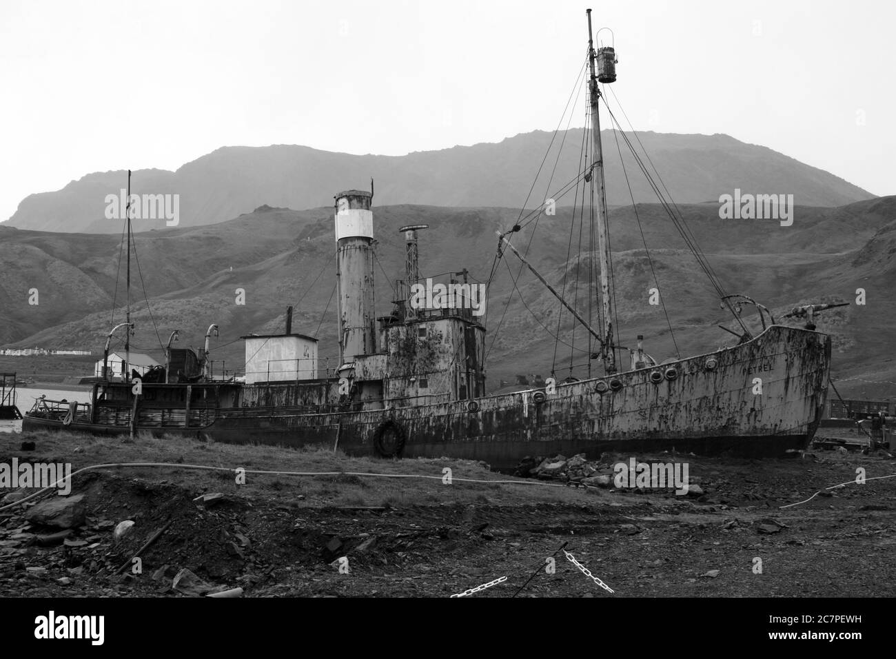 Walfangschiff Petrel Grytviken in Südgeorgien Stockfoto