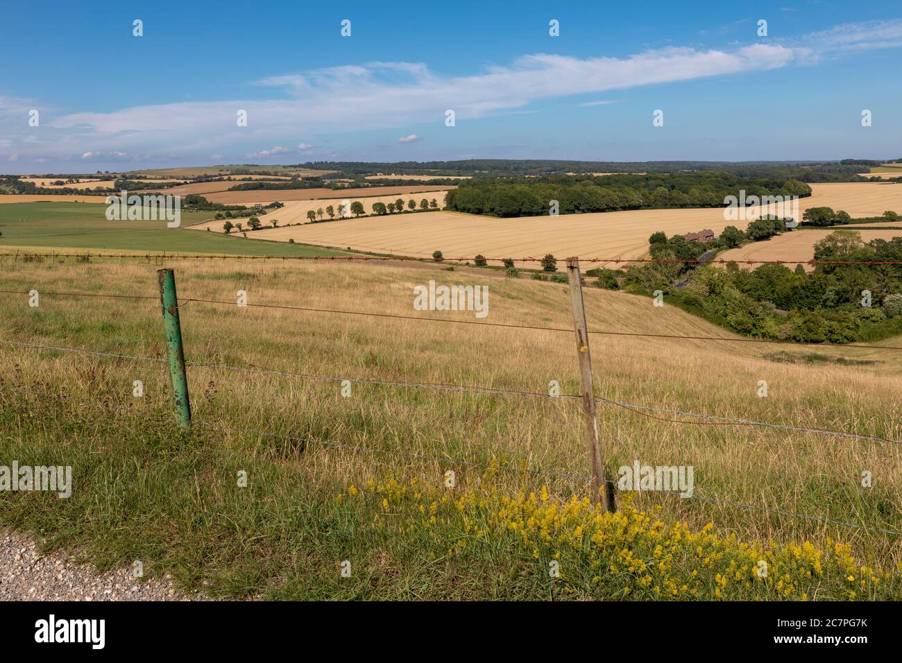 Typischer Bauernhof in englischer Landschaft. Sanfte Hügel der South Downs in Hampshire. Stockfoto