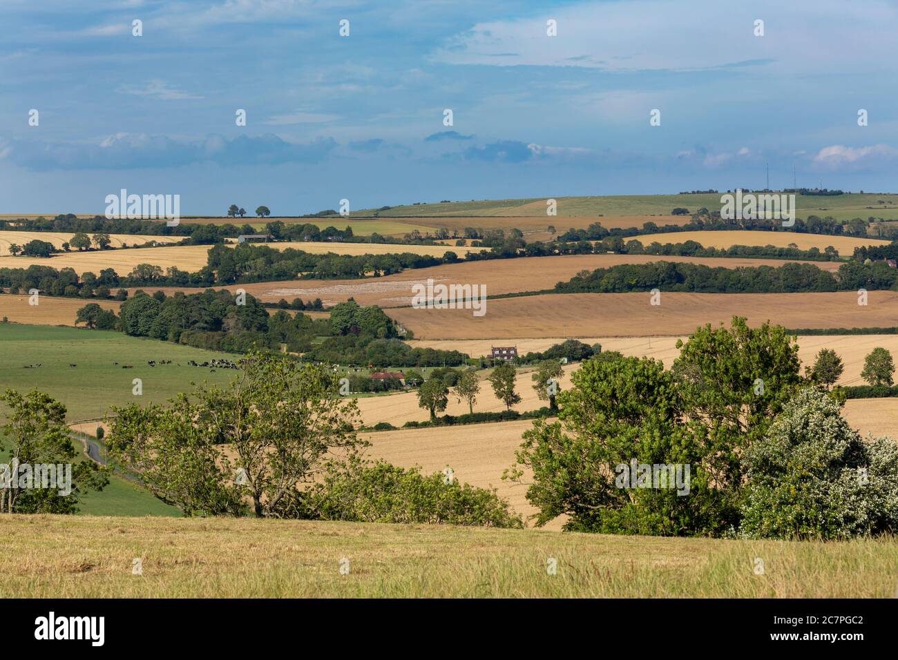 Typischer Bauernhof in englischer Landschaft. Sanfte Hügel der South Downs in Hampshire. Stockfoto