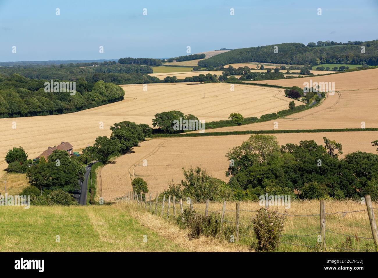 Typischer Bauernhof in englischer Landschaft. Sanfte Hügel der South Downs in Hampshire. Stockfoto