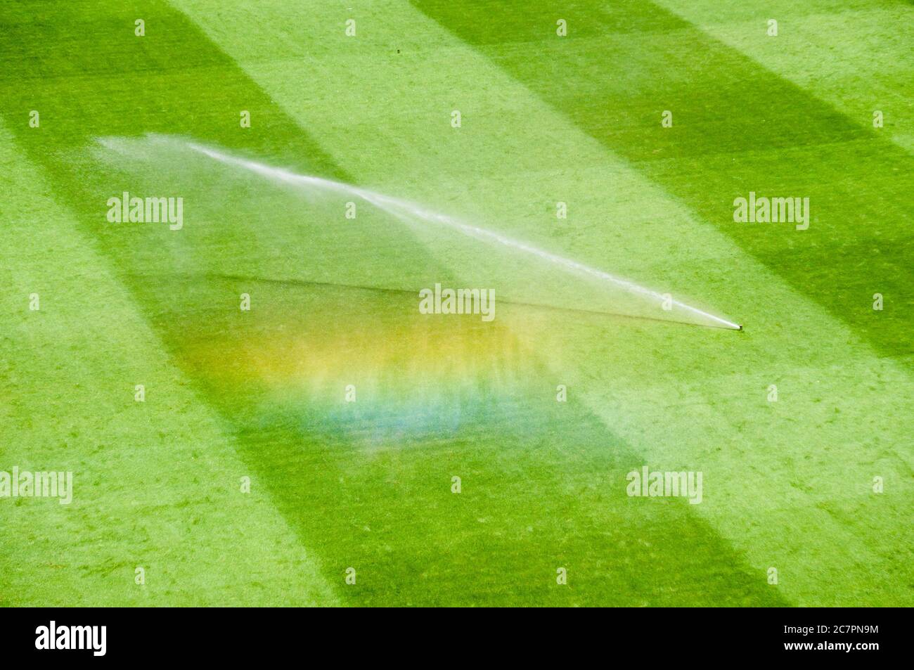 Bewässerungsrasen arbeiten auf dem frischen grünen Gras auf dem Fußballplatz Stockfoto