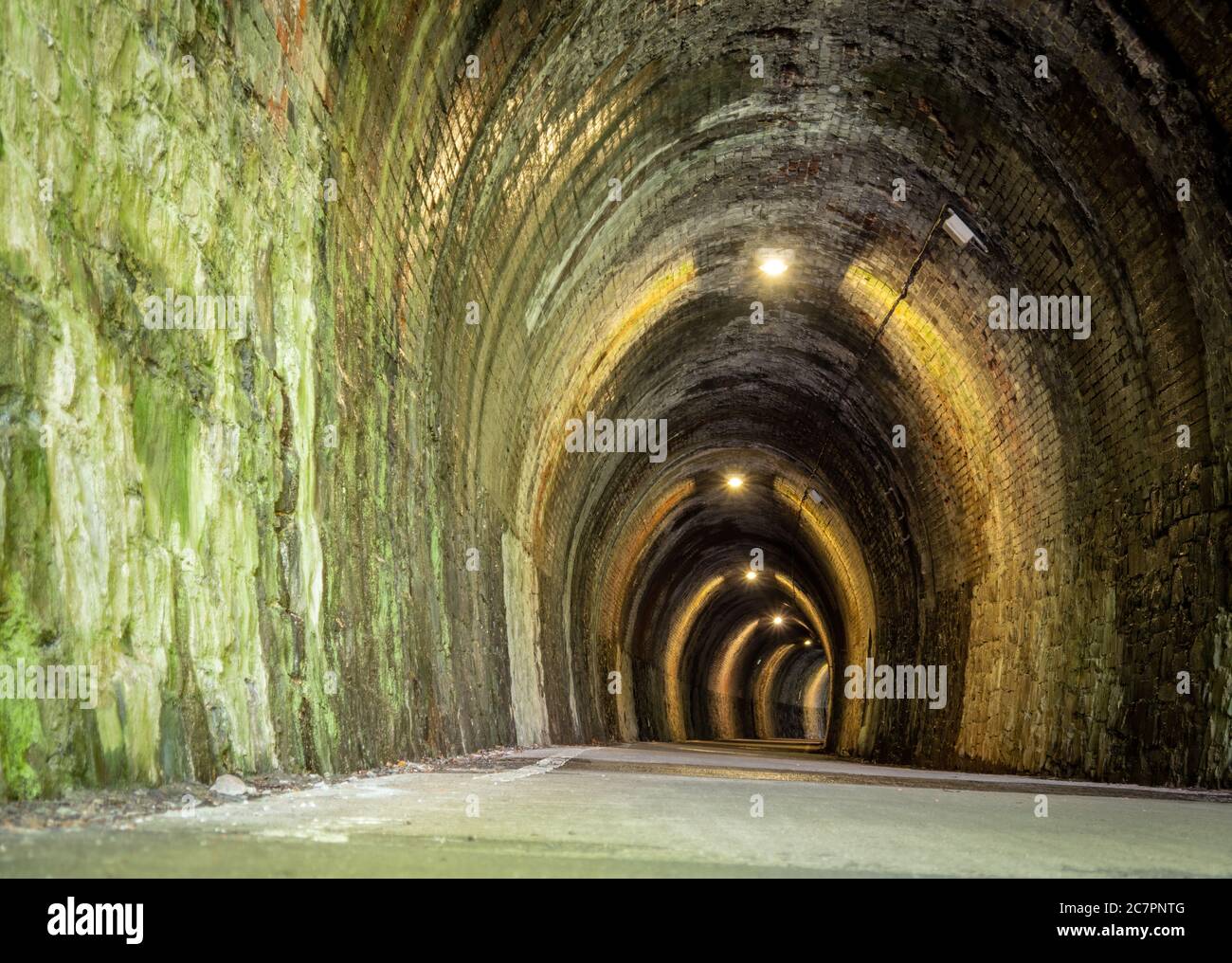 Dunkler Tunnel auf dem Tarka Trail, nahe Bideford, Devon. Stockfoto