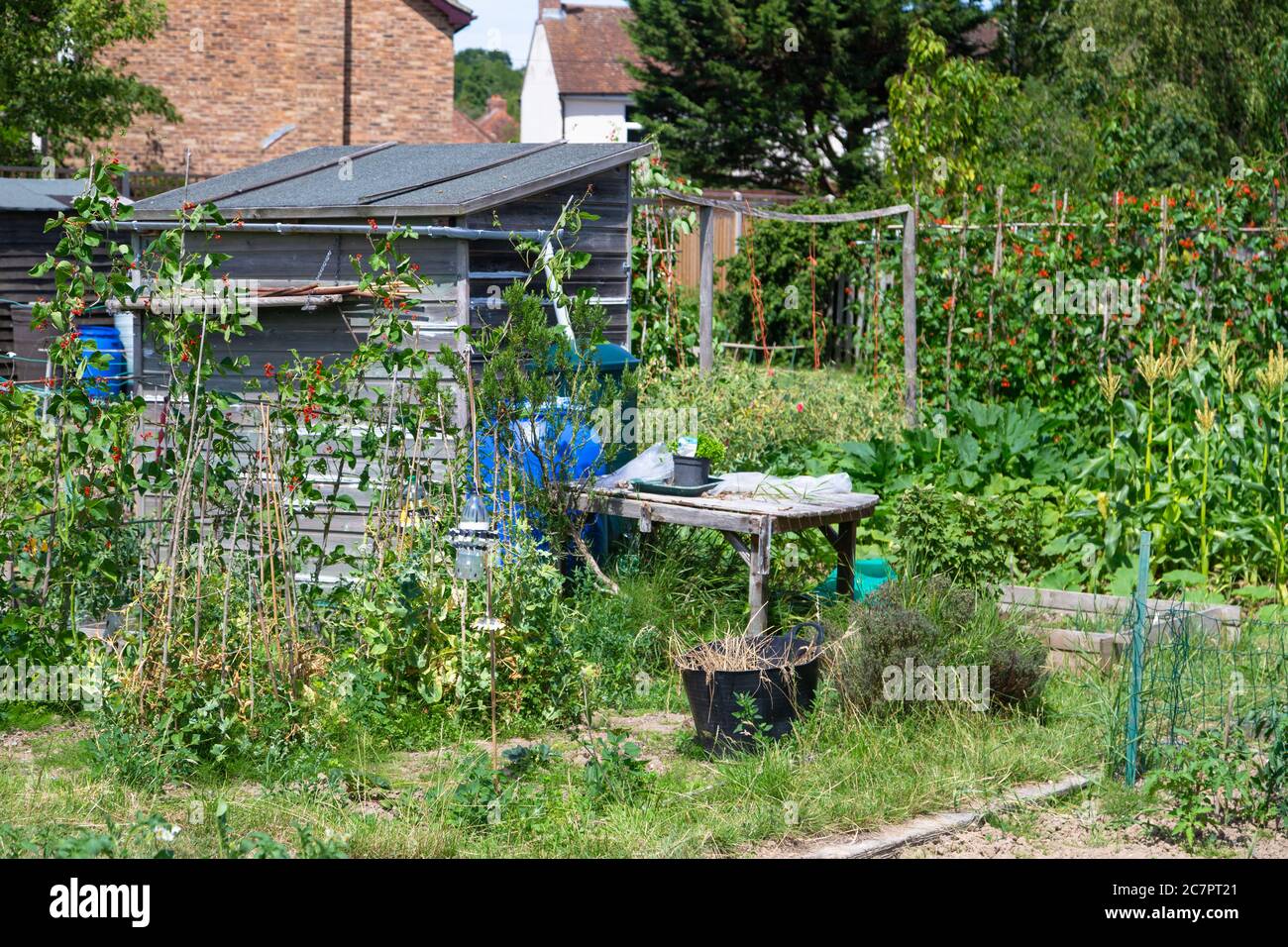 Gemüsezuteilung Shed, hamstreet, kent, großbritannien Stockfoto