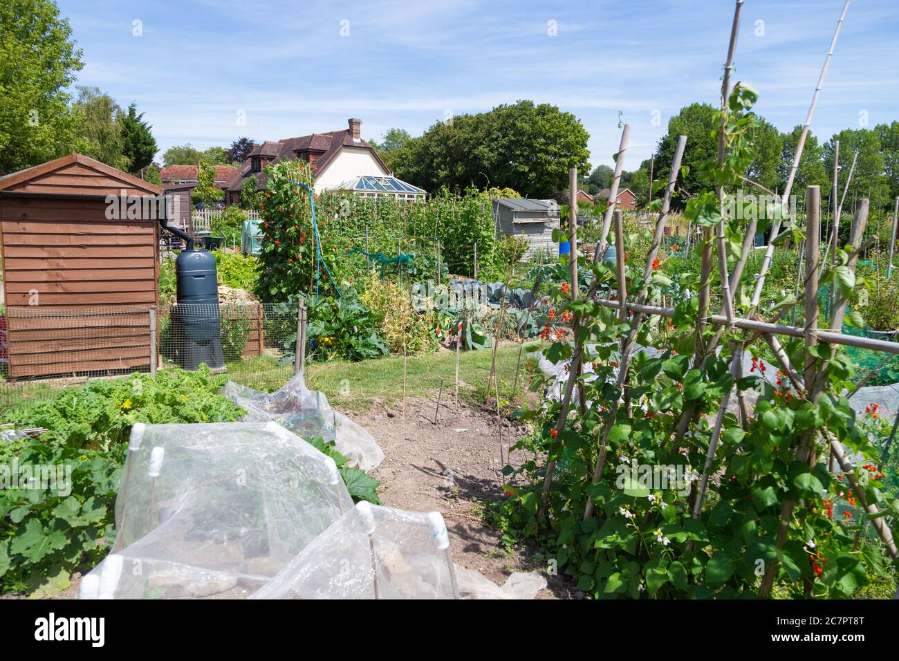 Gemüsegarten, hamstreet, kent, großbritannien Stockfoto