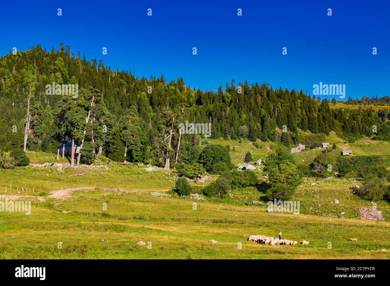 Dabadzveli Berglandschaft in der Nähe von borjomi Wahrzeichen von samtskhe Javakheti region Georgien Osteuropa Stockfoto