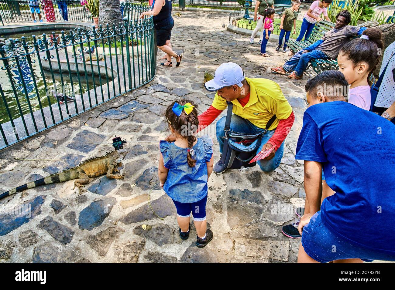 Guayaquil , Ecuador- 7. März 2020 : Menschen Kinder im Seminario Park spielen mit Leguanen Stockfoto
