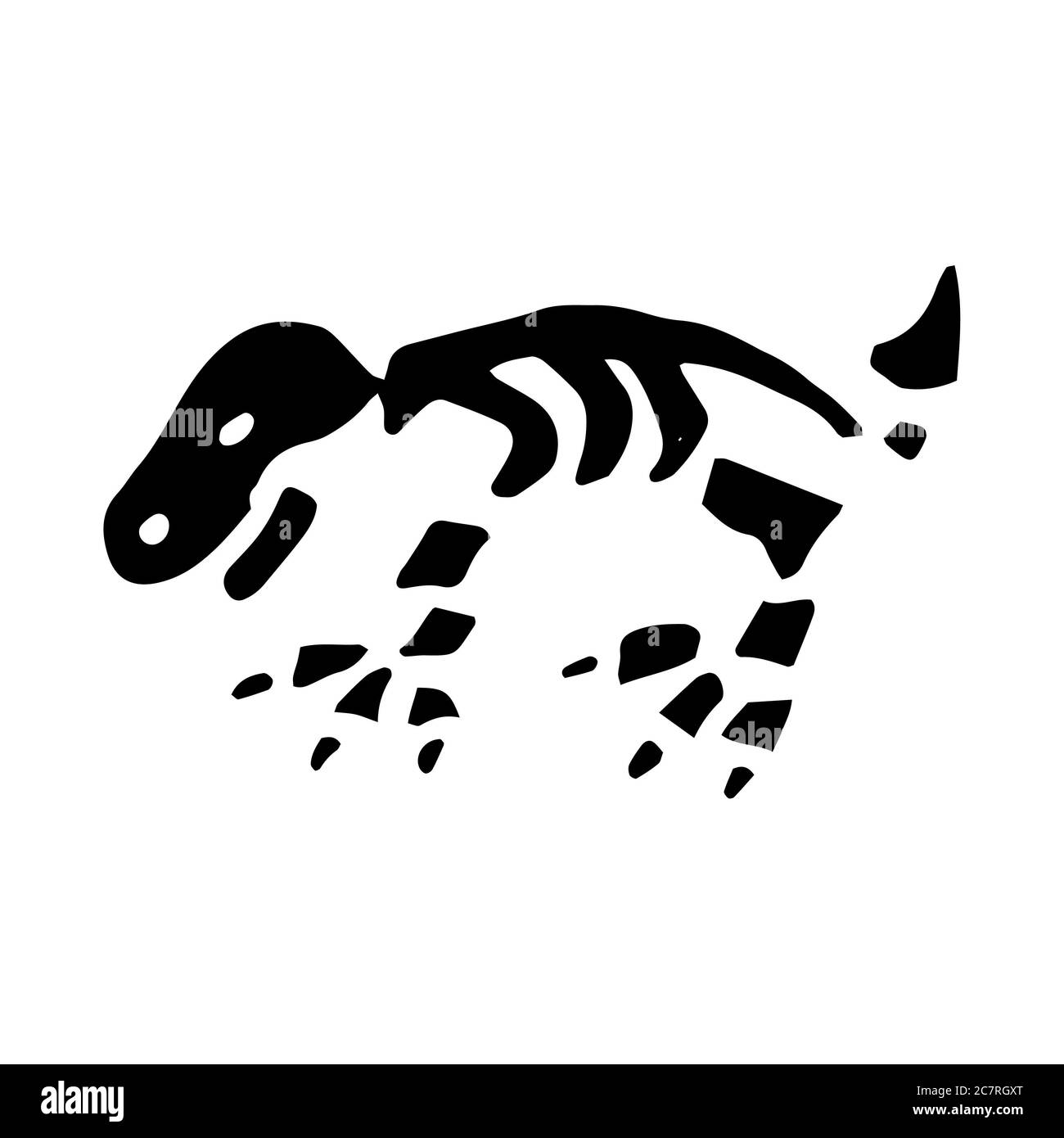Dinosaurier Tier Skelette und Schädel Cartoon Stockfoto