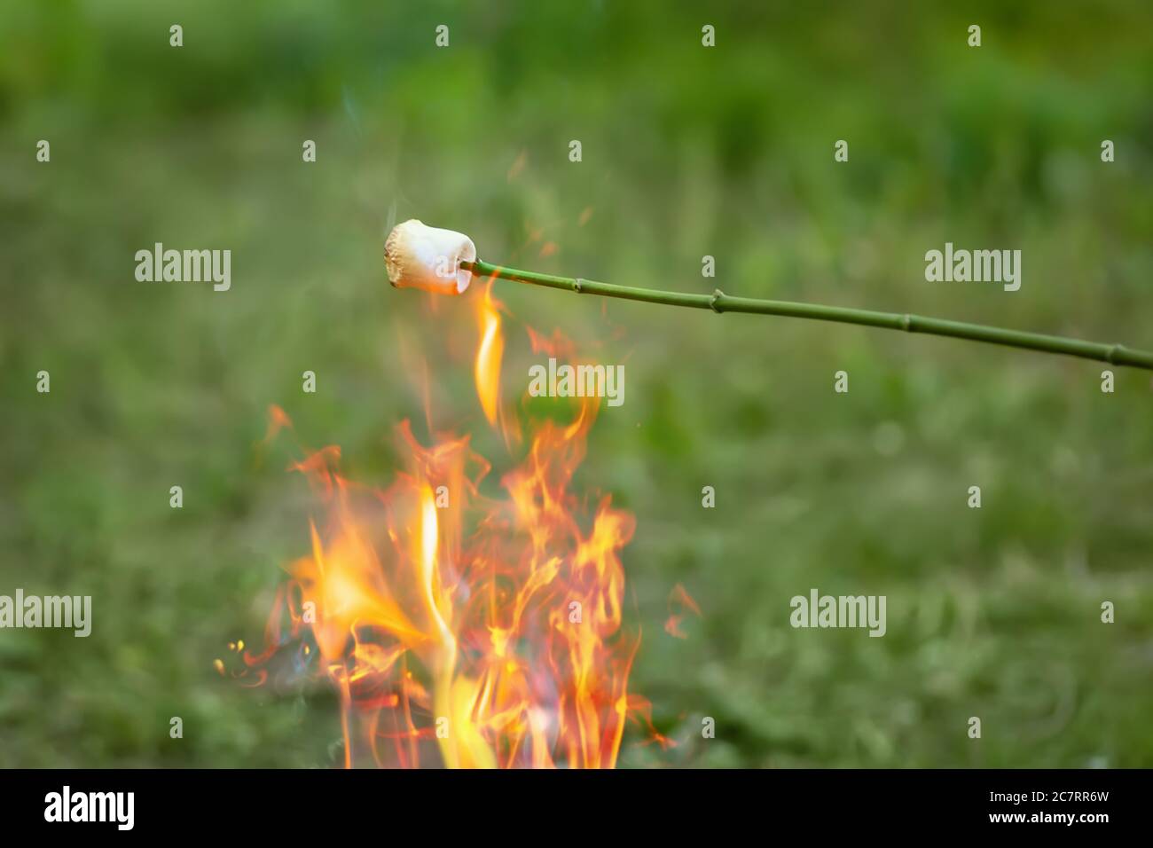 Geröstetes Marshmallow auf Holzstab Stockfoto
