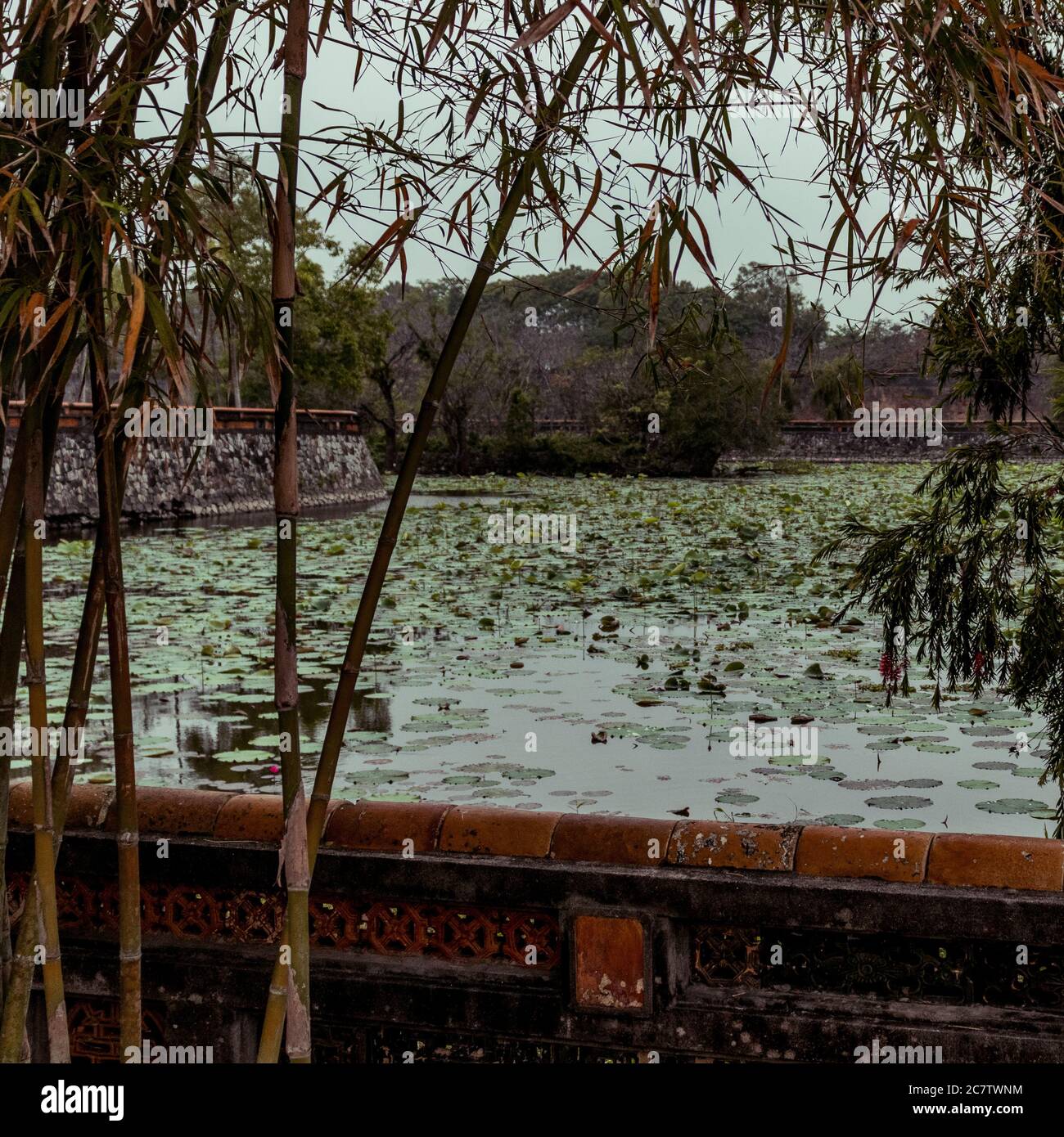 Ummauerter See mit Lilly Pads in der Imperial City, Hue Stockfoto