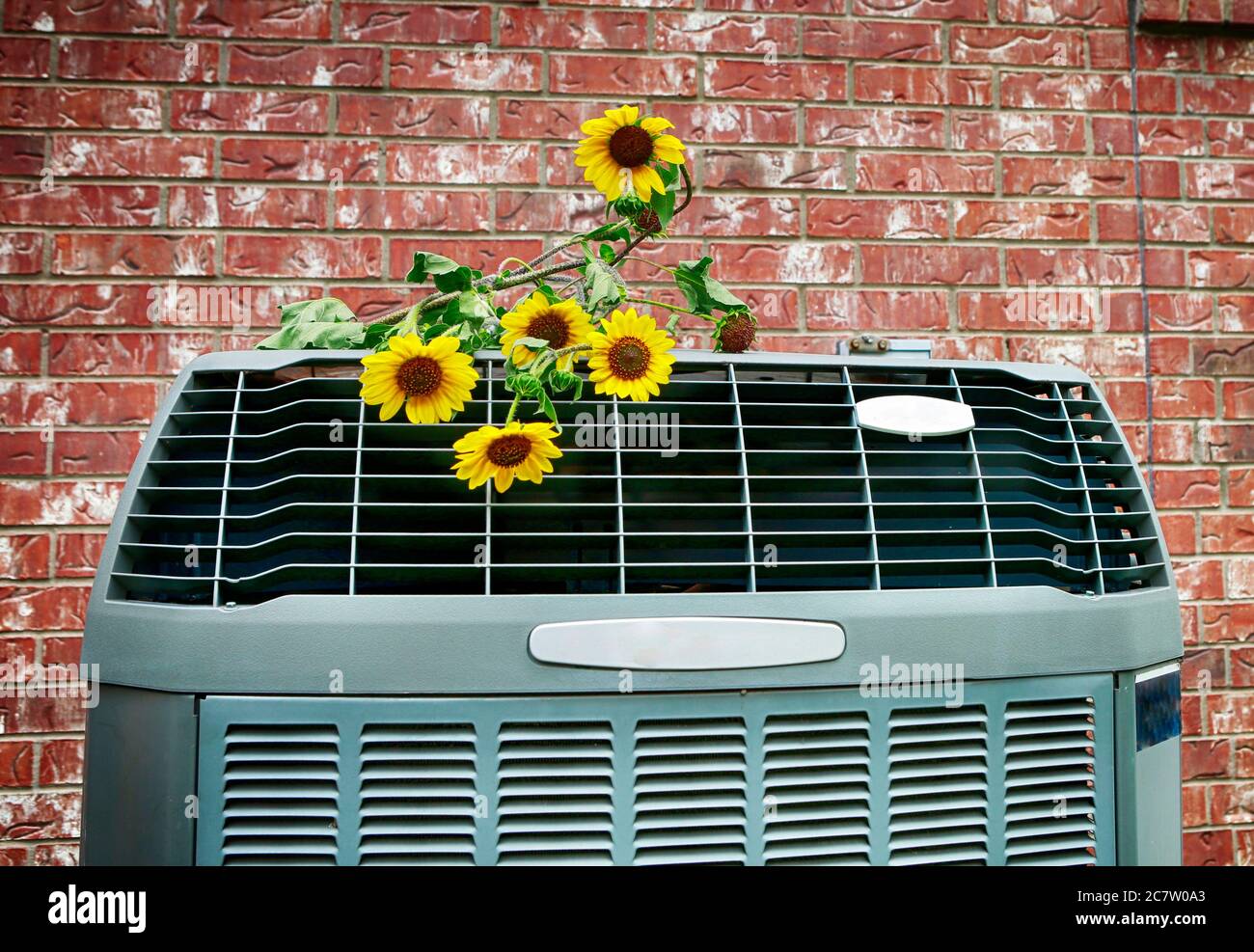 Nahaufnahme der modernen hocheffizienten Klimaanlage mit wilden gelben Blumen. Helles HD-Bild. Stockfoto