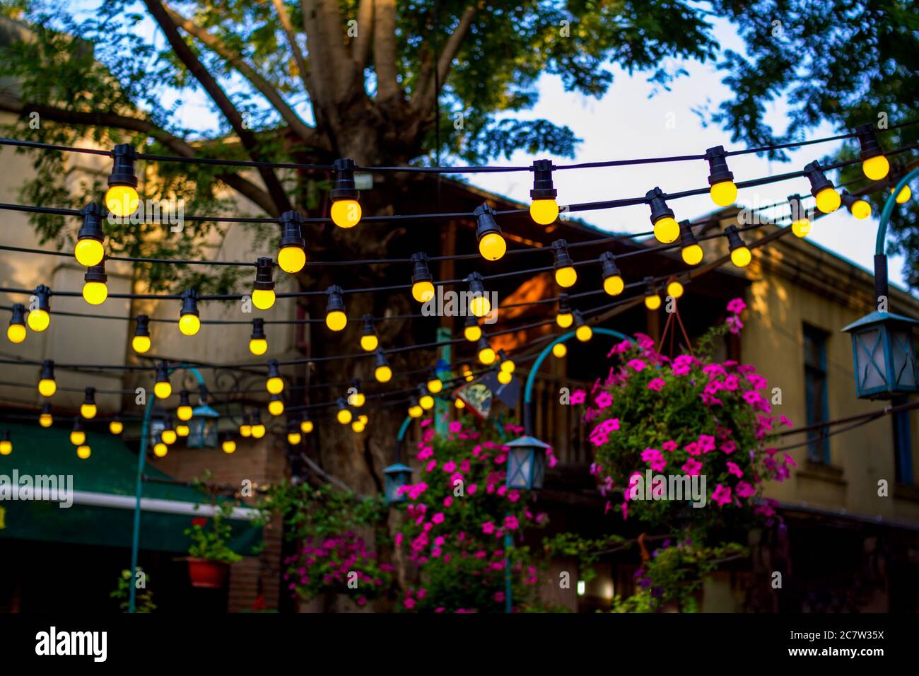 Haushof, dekoriert mit frischen blühenden rosa Petunia Blumen und gelben Lampen. Sommergarten. Stockfoto
