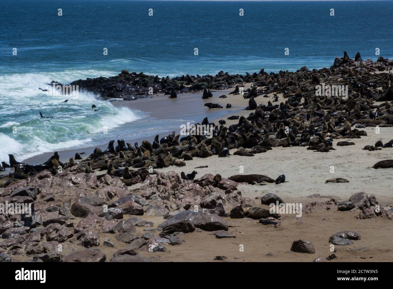 Robbenkolonie an einem Strand am Cape Cross, Namibia Stockfoto