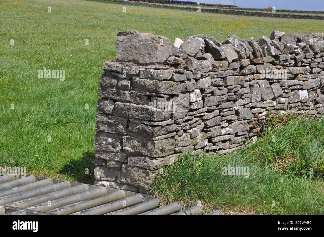 Trockenmauer, Feldgrenze in Purbeck Dorset Großbritannien. Mit vertikalen Begrenzung der Steine. Kalkstein, Sedimentgestein. Stockfoto