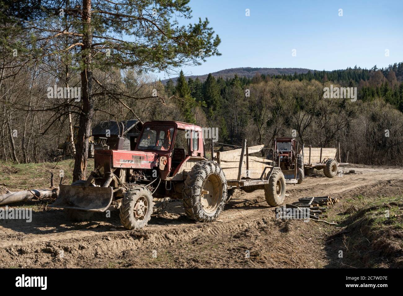 Alte belarussische Traktor (MTZ Belarus) mit Anhänger für den Holztransport  im Bieszczady Wald.Ostkarpaten, Polen, Europa Stockfotografie - Alamy