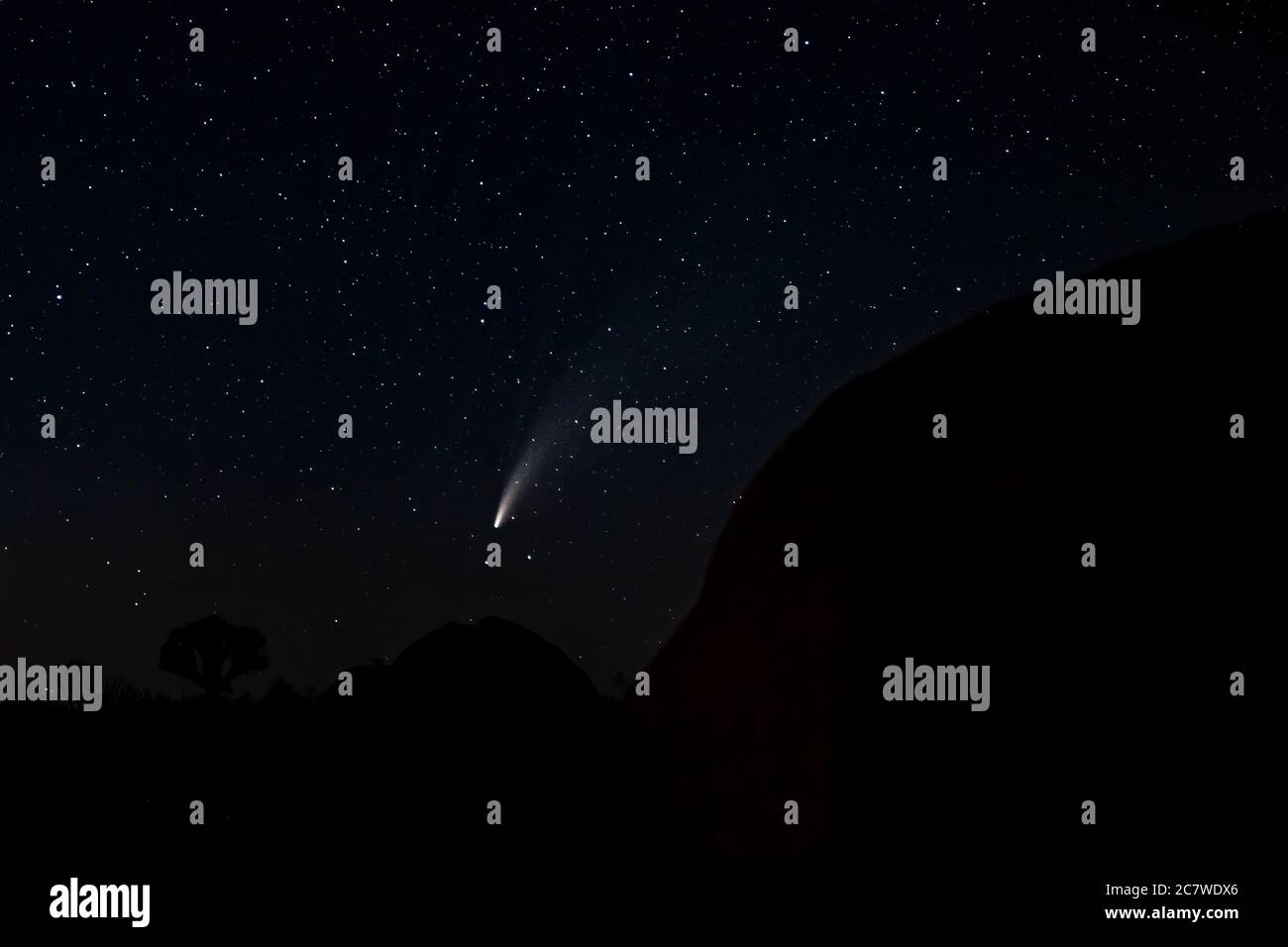 Joshua Tree Nationalpark, USA. Juli 2020. (Langaufnahme) der Komet NEOWISE oder C/2020 F3 ist am 18. Juli 2020 am Himmel über dem Joshua Tree National Park in Kalifornien zu sehen. (Foto von Ronen Tivony/Sipa USA) *** Bitte benutzen Sie das Credit from Credit Field *** Credit: SIPA USA/Alamy Live News Stockfoto