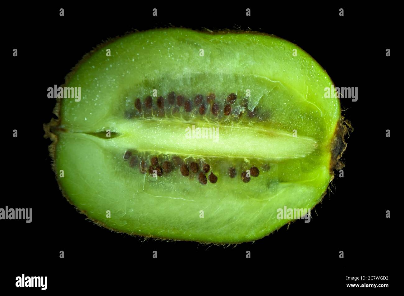Bio Kiwi Obst in zwei Hälften geschnitten und frisch gepflückt. Stockfoto