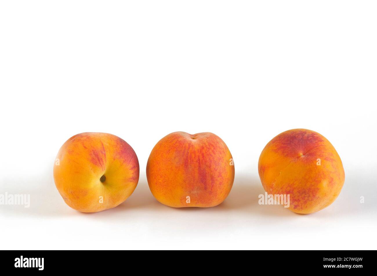Frisch gepflückte Bio-Pfirsiche aus dem Obstgarten. Stockfoto
