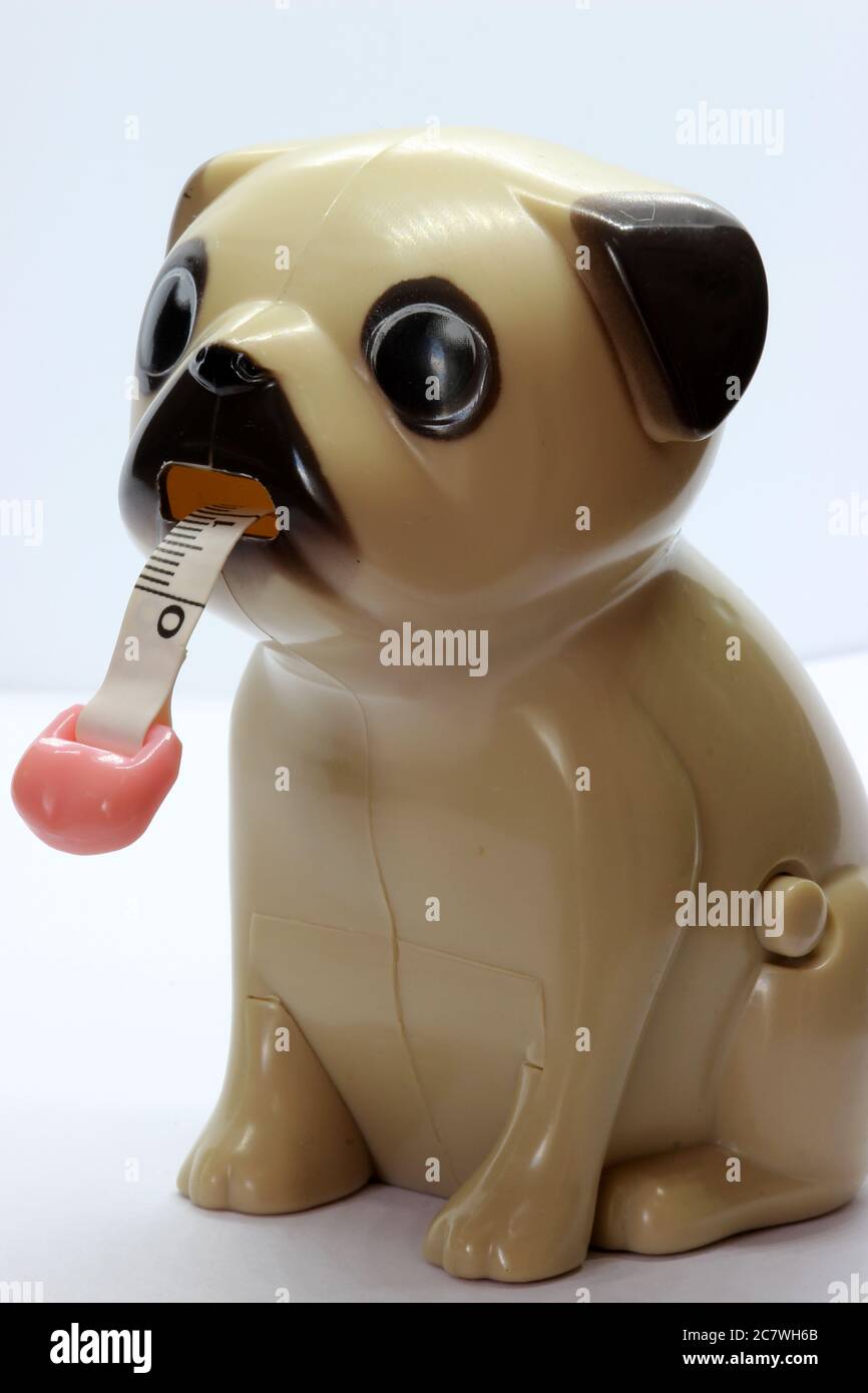 Mops-Messung Stockfoto